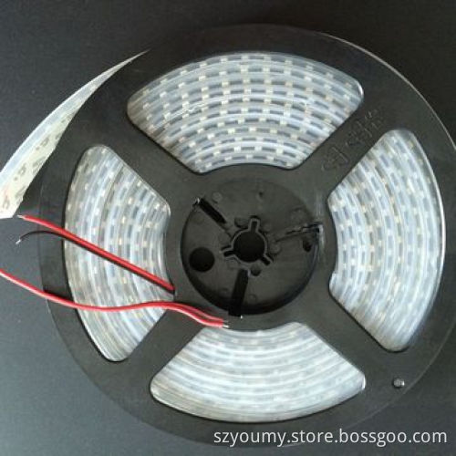 Warm White Double Row LED Flexible Strip Light, SMD 3528, Waterproof IP67, 240 LED/m